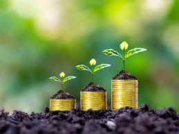 תזרים מזומנים לעסק בצמיחה