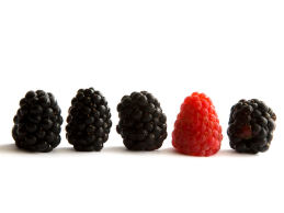 במה אתה טוב?