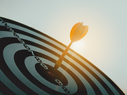 ליווי עסקי לחברות